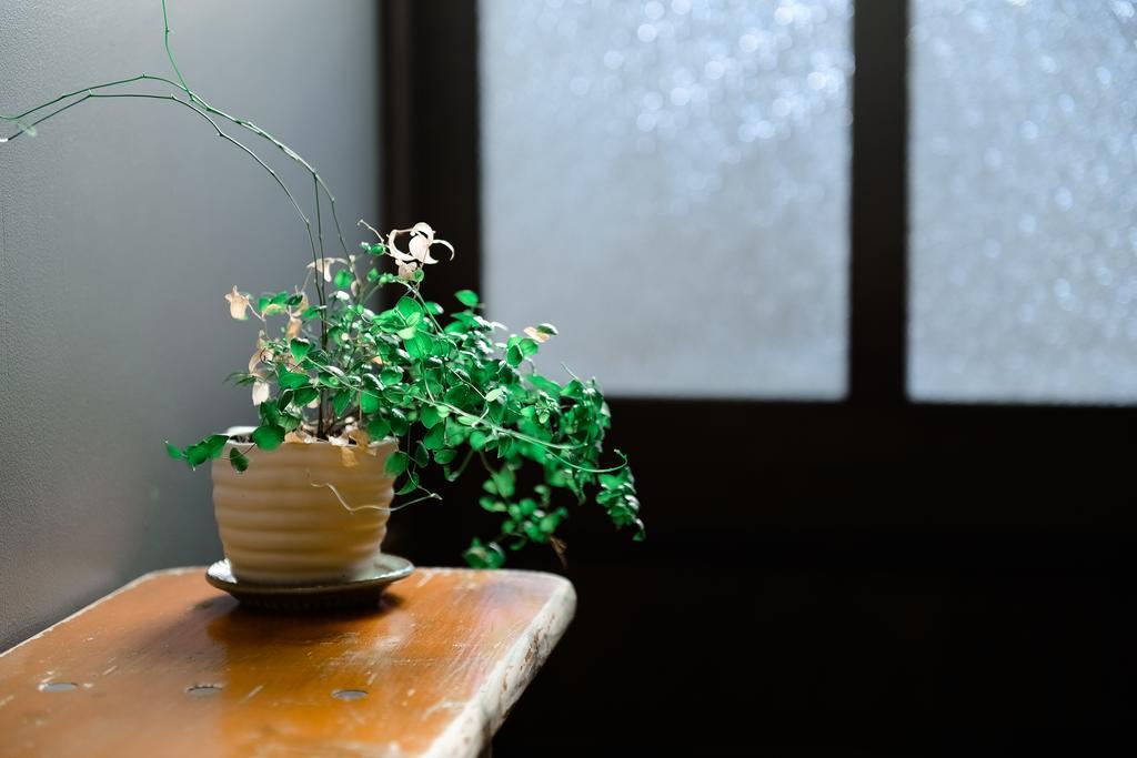 Nanni Saiin Machiya Villa Kyoto Exterior photo